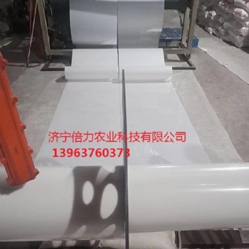 養(yǎng)殖清糞帶蛋雞清糞傳送帶訂購(gòu)