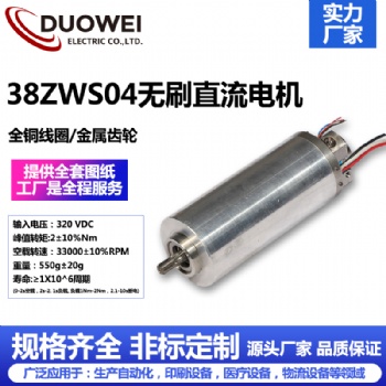 38ZWS04無(wú)刷直流電機(jī)