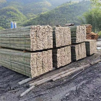 竹跳板——湖南竹跳板生產廠家