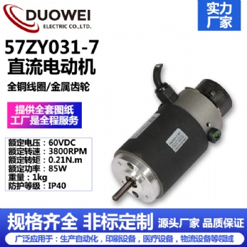 57ZY031-7直流電動(dòng)機(jī)
