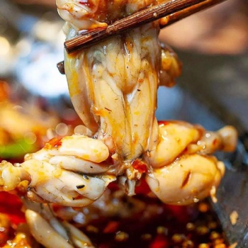 通遼美蛙魚頭底料廠家，通遼美蛙魚頭底料批發，定制，貼牌BL@2202-03