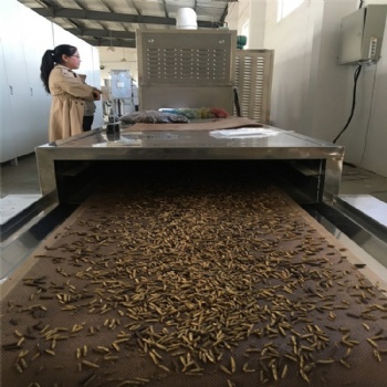 黃粉蟲微波烘干設備烘烤烘焙機