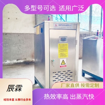 全自動蒸汽發(fā)生器節(jié)能環(huán)保型鍋爐電加熱蒸汽發(fā)生器升溫快速商用