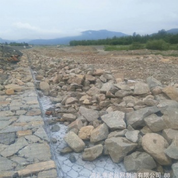 四川雷諾護墊廠家批發