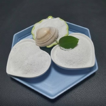 供應 各規格雪花白沙子 兒童沙坑用無塵白沙子 量大價優