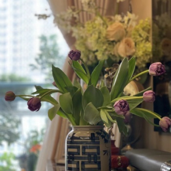 景德鎮(zhèn)陶瓷花瓶花盆批發(fā)，青花小花瓶定制廠家