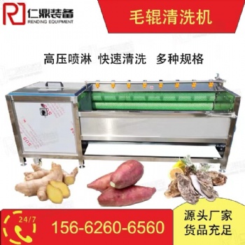 多功能毛輥清洗去皮機(jī)生姜蓮藕土豆蘿卜全自動(dòng)清洗去皮