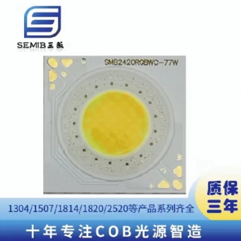 2424外形20發光面RGBWC全彩COB光源77W36V