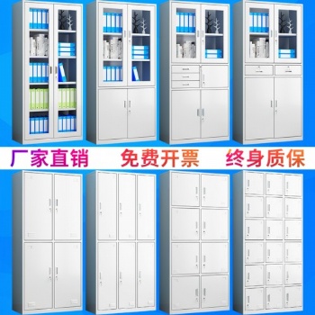 石家莊鐵皮柜文件柜批發(fā)鋼制鐵柜辦公鐵柜廠