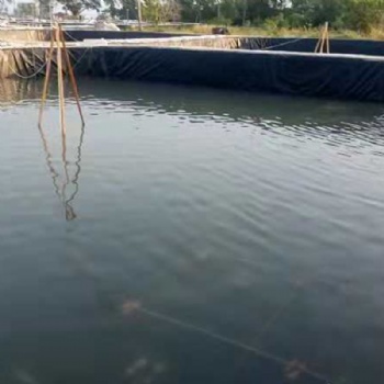 防滲土工膜大型蓄水池建設(shè)豬場(chǎng)污水池工程防滲土工膜