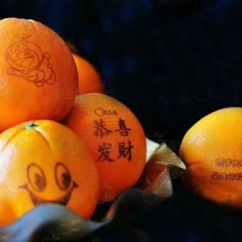 沈陽農(nóng)產(chǎn)品印字機，雞蛋印字機生產(chǎn)廠家 大連瓦房店蓋州蘋果印字機打字機貼字機價格