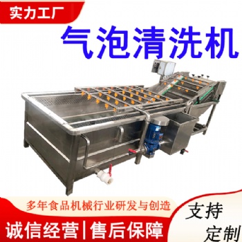 黑水虻自動(dòng)清洗機(jī) 大型商用蟲(chóng)蛹蠶蛹清洗設(shè)備 各種養(yǎng)殖蟲(chóng)清洗機(jī)