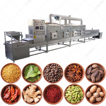 廠家供應(yīng) 蔬果脫水微波干燥機 農(nóng)副產(chǎn)品微波烘干機 馬鈴薯烘干機