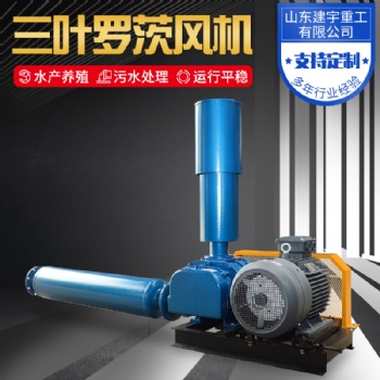 建宇重工三葉羅茨風(fēng)機(jī) 污水處理 水產(chǎn)增氧