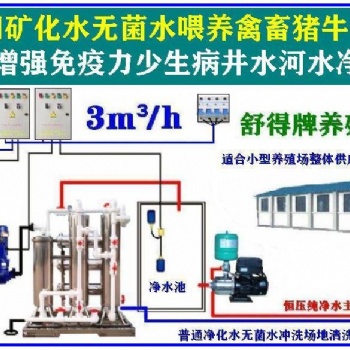 原水處理設備養殖機械井水過濾器河水凈水機養雞場機械化養雞場飲水設備