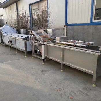 果蔬清洗殺青機、毛豆漂燙鹵煮殺青機