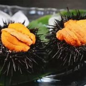 上海港申報(bào)海膽進(jìn)口報(bào)關(guān)代理