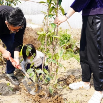 上海春季團(tuán)建一日游推薦長興島植樹摘草莓騎行游玩活動(dòng)