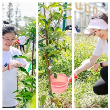 上海植樹節桔園農莊種樹騎行真人CS戶外游玩項目