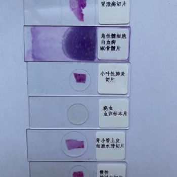 河南德教生物標本切片模型廠病理切片顯微鏡下玻片教學切片生物切片**校