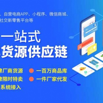 互聯網定制軟件/APP/小程序/分銷系統/商城/直播