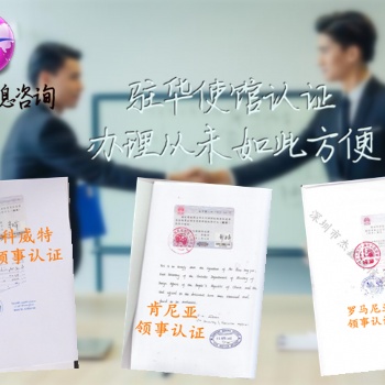 摩爾多瓦領事執照蓋章