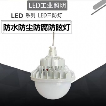 防爆LED免維護節(jié)能燈防水防塵防腐FGV6215-FGQ1215功率30w50w護欄
