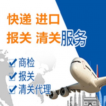 上海個人DHL快遞貨物報關(guān)