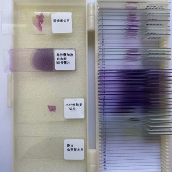 河南德教生物標本切片廠主營病理切片**?；A醫學部教學用切片形態學切片HE染色