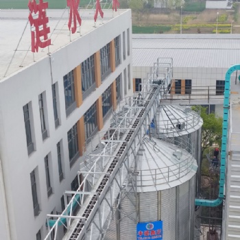 小型糧食鋼板倉 裝配式波紋烘干倉圓筒倉 源頭廠家
