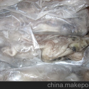 進(jìn)口東南亞冷凍亞墨魚 **