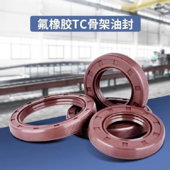 各類進口骨架油封 密封圈 規(guī)格齊全 種類多 量大優(yōu)惠 歡迎咨詢