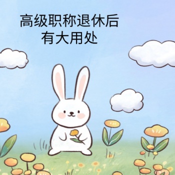 職稱(chēng)評(píng)審?fù)诵莺笠灿写笞饔? width=