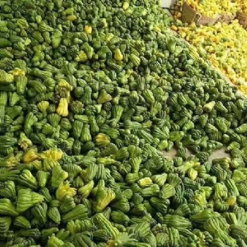 中藥材種植收購(gòu)加工佛手種植收購(gòu)