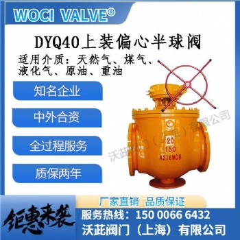 woci DYQ40上裝偏心半球閥 球閥廠家