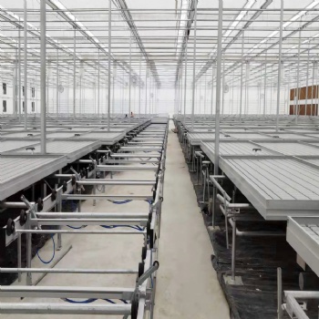 溫室大棚全自動潮汐式物流苗床安裝 增加利用率 使用方便