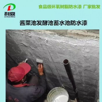 發(fā)酵池醬菜池污水池游樂場防腐防水漆