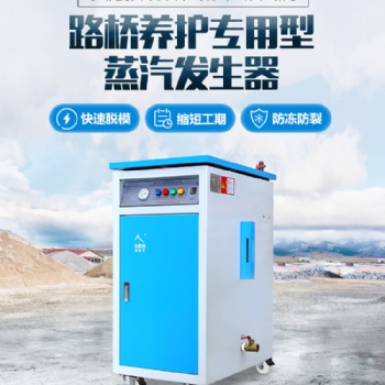 思耐德混凝土養(yǎng)護蒸汽發(fā)生器