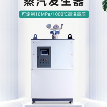 武漢思耐德專業(yè)定制各類型蒸汽發(fā)生器