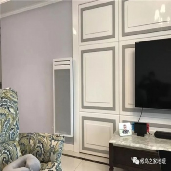 法國(guó)原裝進(jìn)口賽蒙電暖器暖氣片EV3D2500W