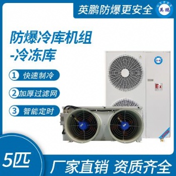 英鵬防爆冷庫機組-冷凍庫5匹