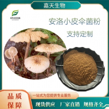 安洛小皮傘菌粉 10:1 小皮傘多糖 多種規(guī)格 1kg起訂 包郵