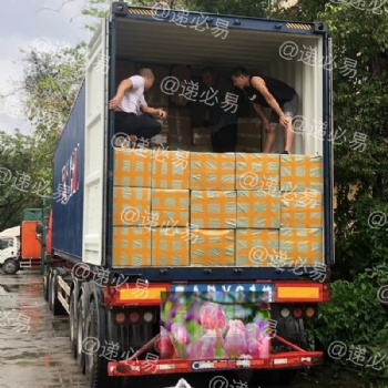 出口東南亞國家專線十年一手莊物流經驗