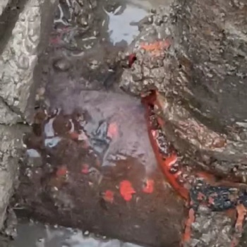 蘇州吳中區(qū)管道漏水檢測服務(wù) 消防管道查漏水檢測漏水點