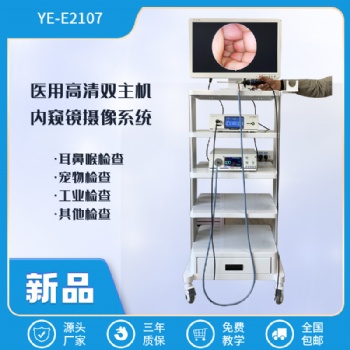 高清采耳鏡頭 全程可視型號價格廠家 戶外采耳儀器 家用小型可視采耳機器 多功能小型掏耳朵儀器