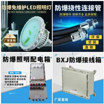 防爆控制箱檢修箱儀表箱不銹鋼防爆柜防爆軟管溫控箱配電箱定制