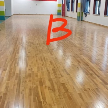 實木質量 匠心工藝河北高品質運動木地板