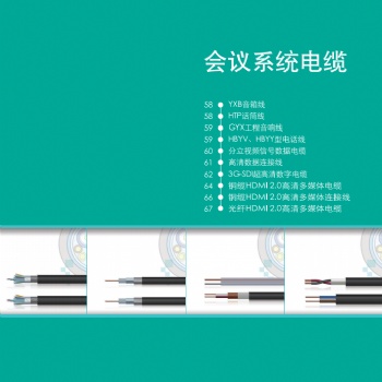 天誠(chéng)會(huì)議系統(tǒng)電纜，蘇州愛普特