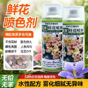 廣州花霧鮮花噴漆環(huán)保無腐蝕花藝師專用噴漆